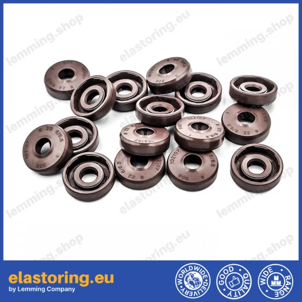 Pressure oil seal 8x22x6/6,5 BABSL FPM Pressure oil seal 8x22x6/6,5 BABSL FPM