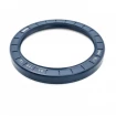 Pressure oil seal 95x120x12 BABSL NBR Pressure oil seal 95x120x12 BABSL NBR