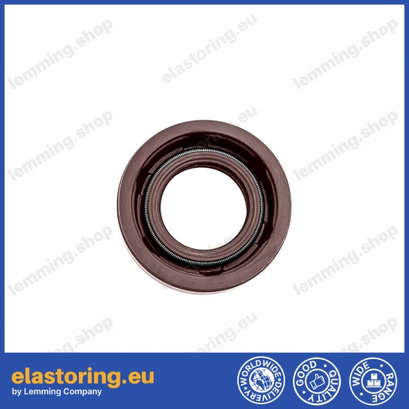 Pressure oil seal 12x22x6 BABSLVI FPM