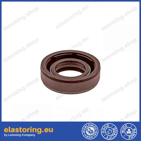 Pressure oil seal 12x22x6 BABSLVI FPM