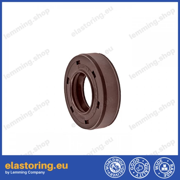 Pressure oil seal 12x22x6 BABSLVI FPM
