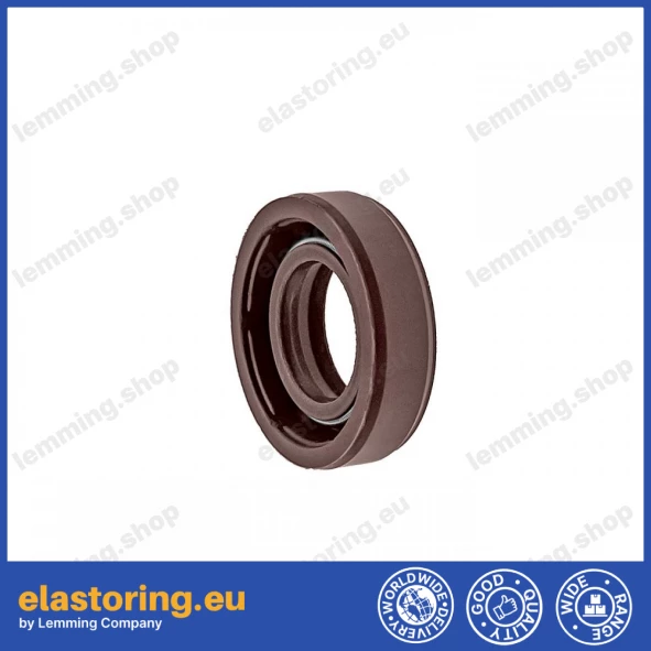 Pressure oil seal 12x22x6 BABSLVI FPM