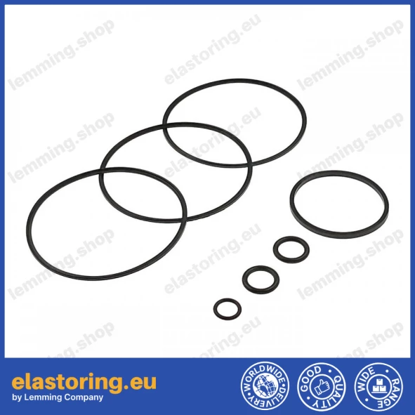 Repair kit for DANFOSS 60023