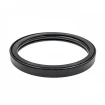 Rod seal 53,98x63,35x7,11 RS2125