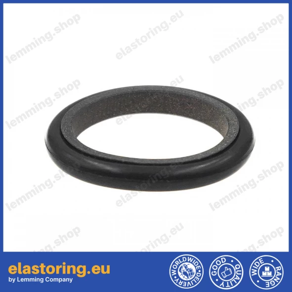Rod seal S9DL 16x21x3 PTFE Rod seal S9DL 16x21x3 PTFE