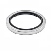 Rotary seal for air screw compressor B2PT 79x99x10 PTFE