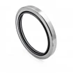 Rotary seal for air screw compressor B2PT 79x99x10 PTFE