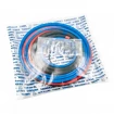 Seal kit DS18/5 EDBRO -5 stages Seal kit DS18/5 EDBRO -5 stages