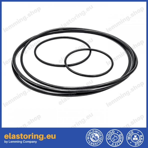 Seal kit for CS17/5 EDBRO -5 stages Seal kit for CS17/5 EDBRO -5 stages
