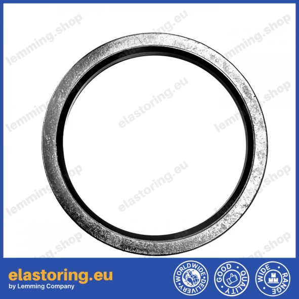 Static seal BDSL 51,69x63,50x3,25