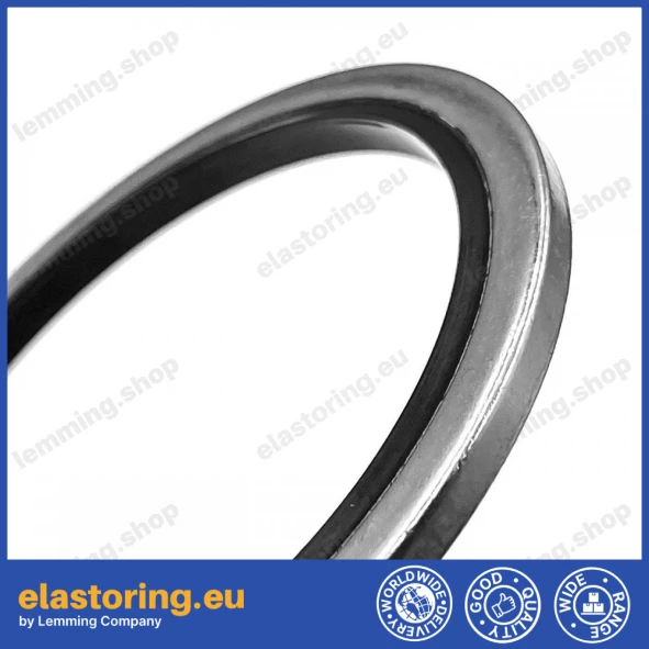 Static seal BDSL 51,69x63,50x3,25