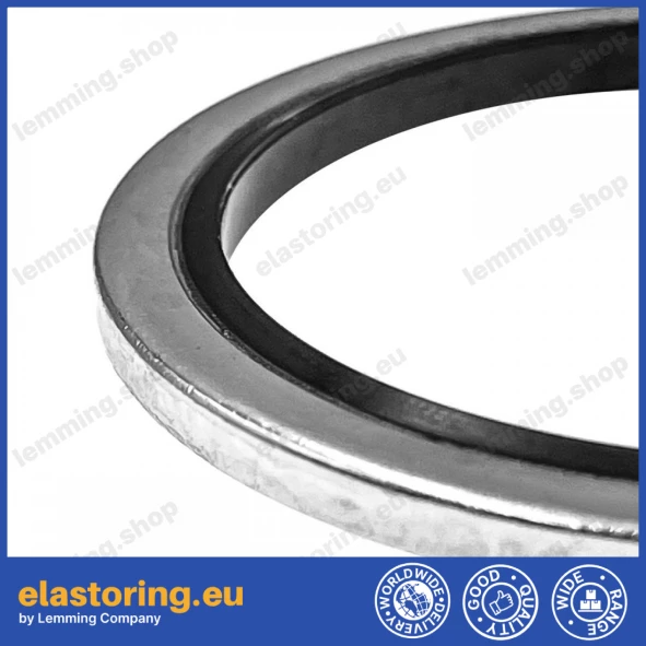 Static seal BDSL 51,69x63,50x3,25