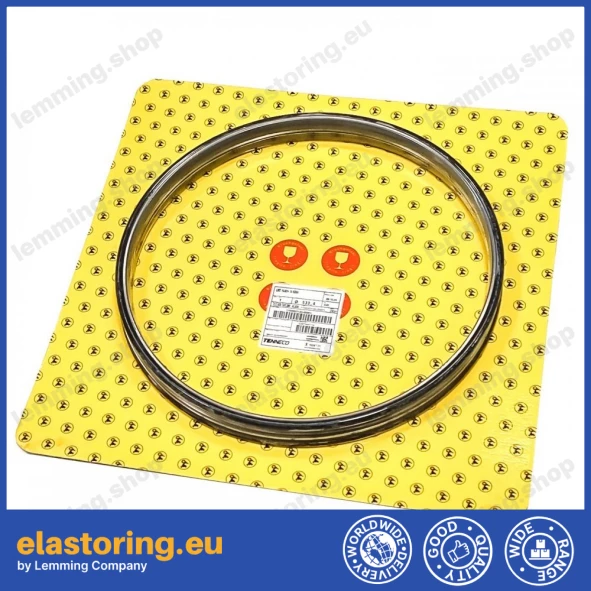 Face seal Goetze 76.90H-74 A2 NB60