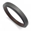 Oil seal 110x140x14/17 TCS Oil seal 110x140x14/17 TCS