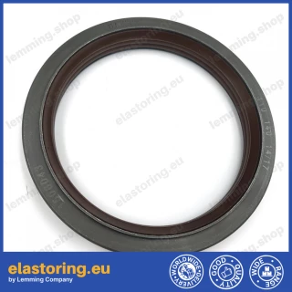 Oil seal 110x140x14/17 TCS