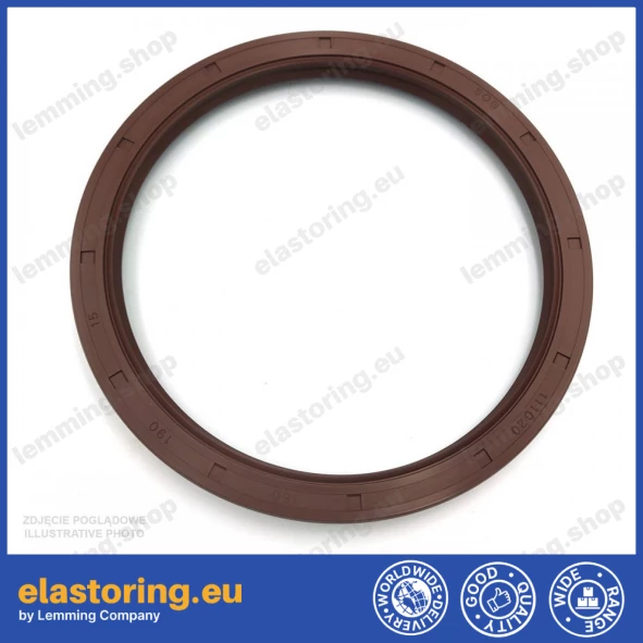 Oil seal 160x190x15 AS FPM Oil seal 160x190x15 AS FPM