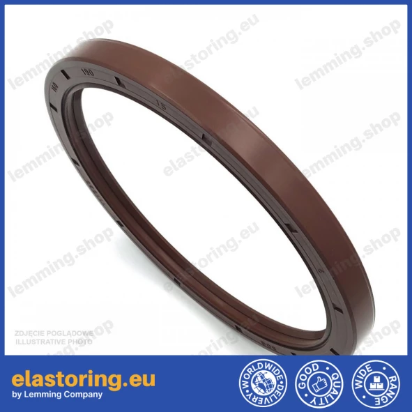Oil seal 160x190x15 AS FPM Oil seal 160x190x15 AS FPM