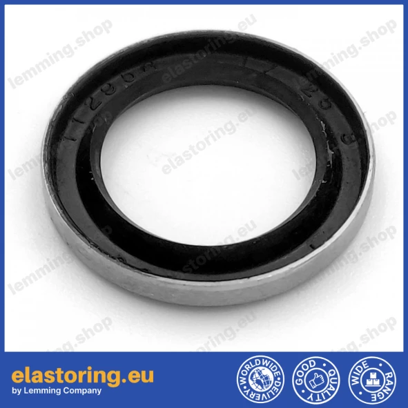 Oil seal 17x25x3 VM NBR