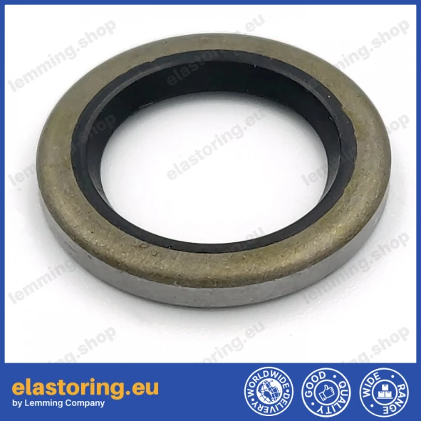 Oil seal 17x25x3 VM NBR
