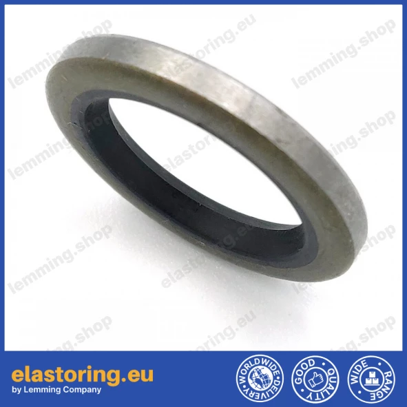 Oil seal 17x25x3 VM NBR