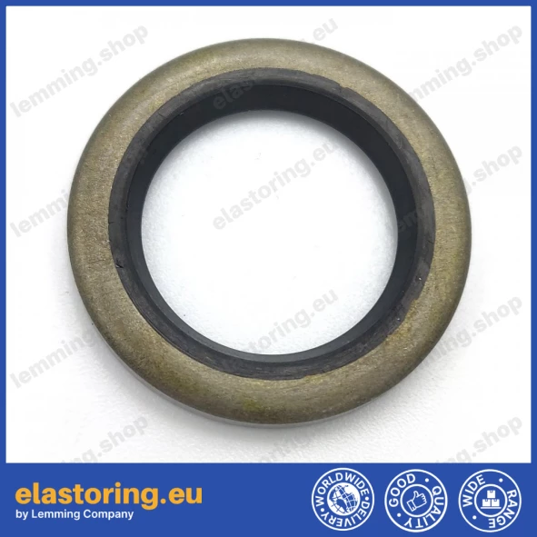 Oil seal 17x25x3 VM NBR