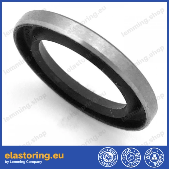 Oil seal 17x25x3 VM NBR