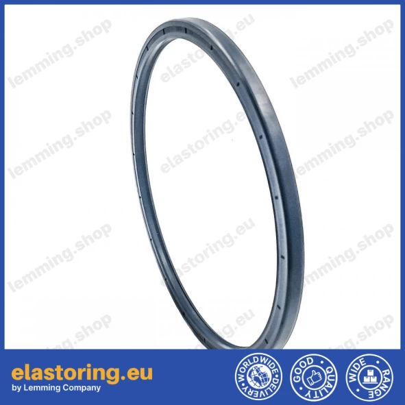 Oil seal 185x205x10 PPS NBR Oil seal 185x205x10 PPS NBR