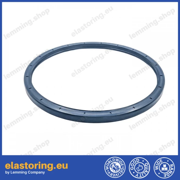 Oil seal 185x205x10 PPS NBR Oil seal 185x205x10 PPS NBR