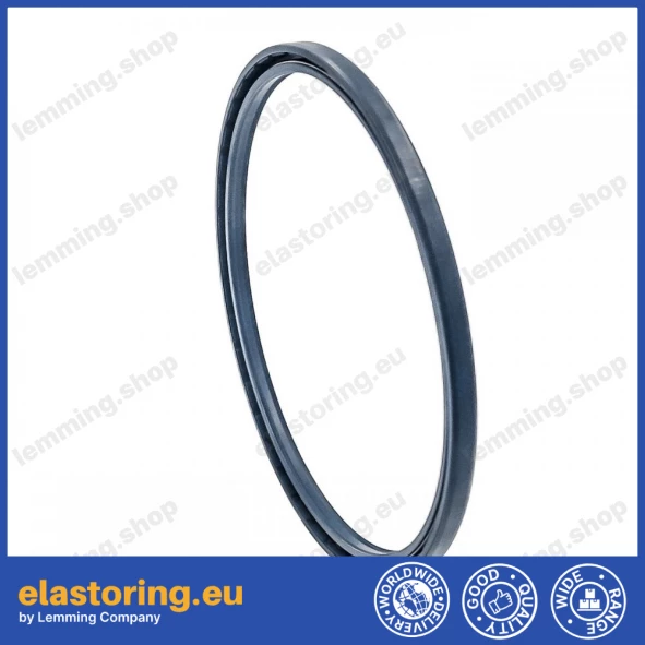 Oil seal 185x205x10 PPS NBR Oil seal 185x205x10 PPS NBR