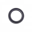 High pressure oil seal 19x26x4,5 BAKHDSN FPM+PTFE