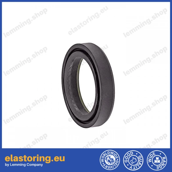 High pressure oil seal 19x26x4,5 BAKHDSN FPM+PTFE