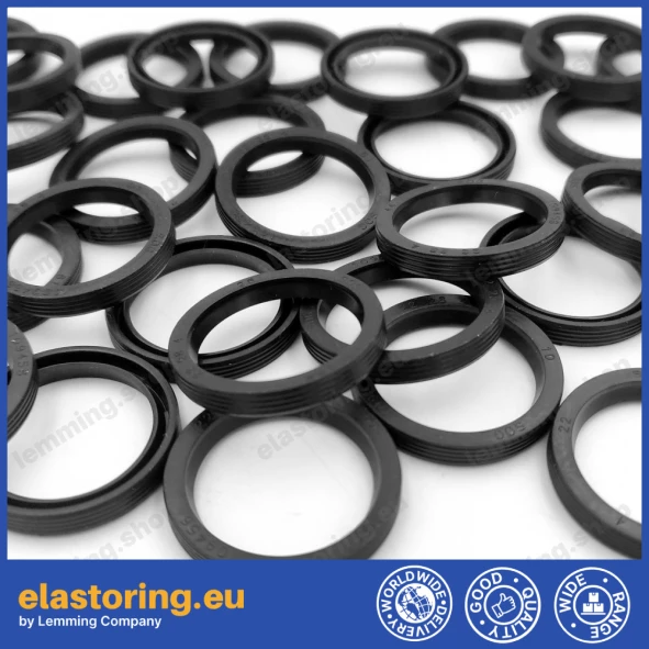 Oil seal 22x28x4 VG NBR Oil seal 22x28x4 VG NBR