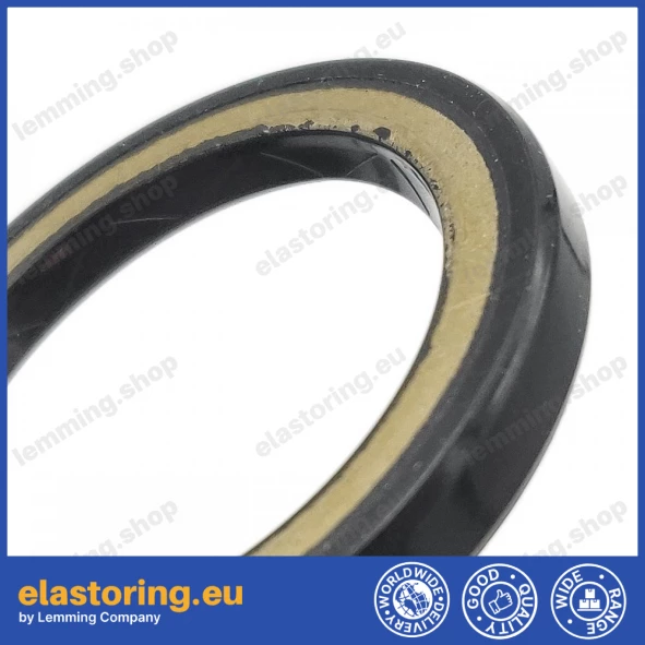 High pressure oil seal 28,6x39x4,9 BAHD NBR High pressure oil seal 28,6x39x4,9 BAHD NBR