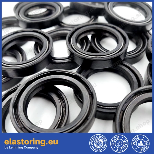 Oil seal 28x40x8 DC NBR