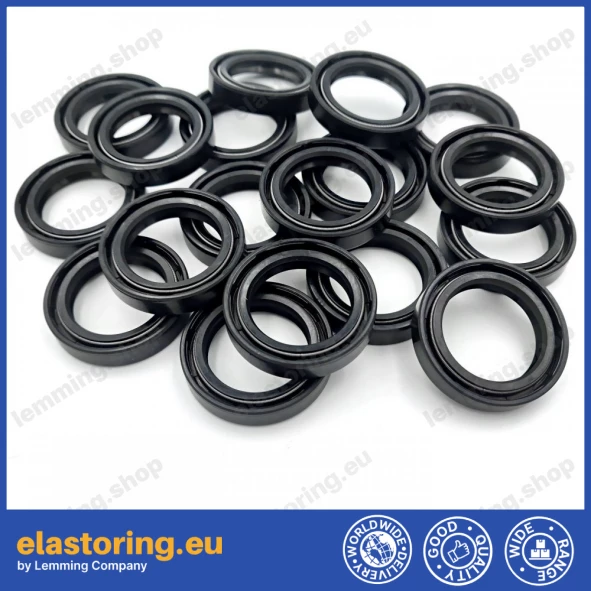 Oil seal 28x40x8 DC NBR