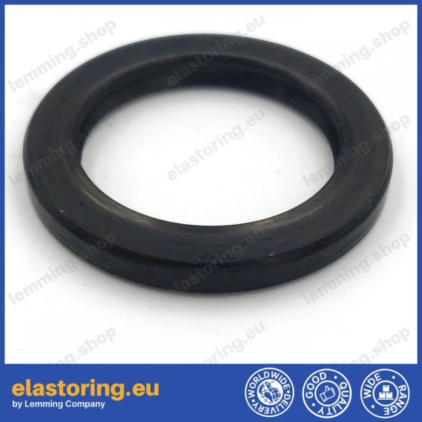 Pressure oil seal 35x48x5/5,5 BABSL NBR