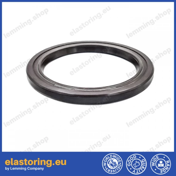 Oil seal 41x54x4 VC FPM