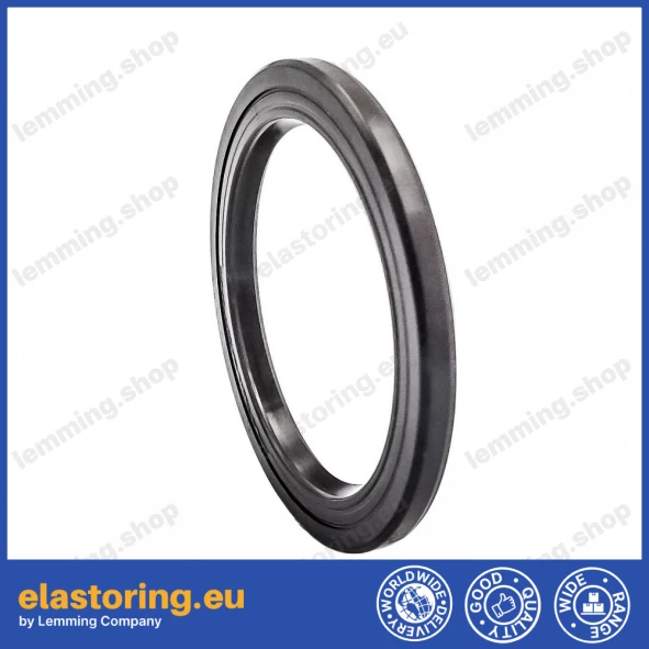 Oil seal 41x54x4 VC FPM