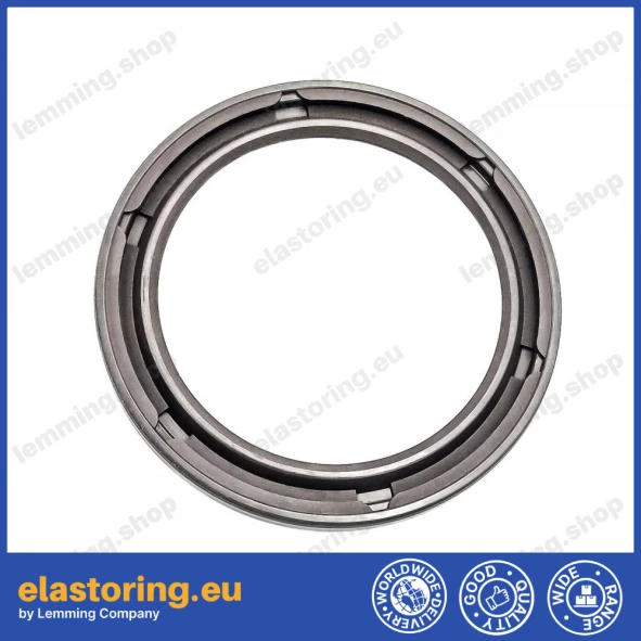 Oil seal 41x54x4 VC FPM