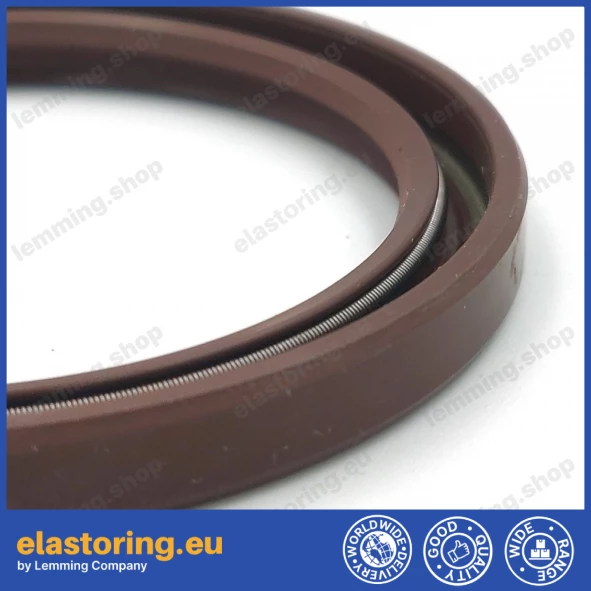 Oil seal 51,5x64x6 BADUO FPM