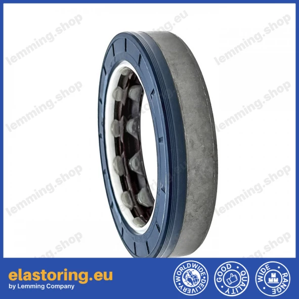 Oil seal 66x92x19 COMBI SF6 FPM Oil seal 66x92x19 COMBI SF6 FPM