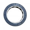 Oil seal 66x92x19 COMBI SF6 FPM Oil seal 66x92x19 COMBI SF6 FPM