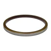 Oil seal Bosch Rexroth 55,55x85,65x6 R921177180