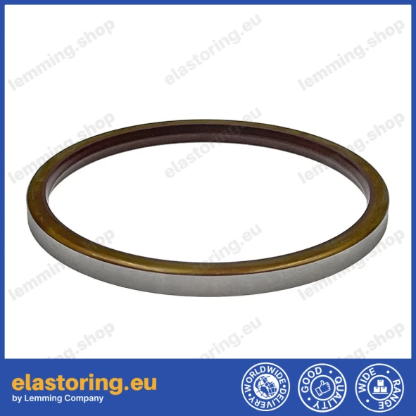 Oil seal Bosch Rexroth 55,55x85,65x6 R921177180