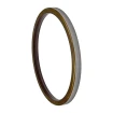 Oil seal Bosch Rexroth 55,55x85,65x6 R921177180