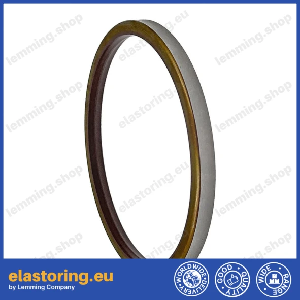 Oil seal Bosch Rexroth 55,55x85,65x6 R921177180
