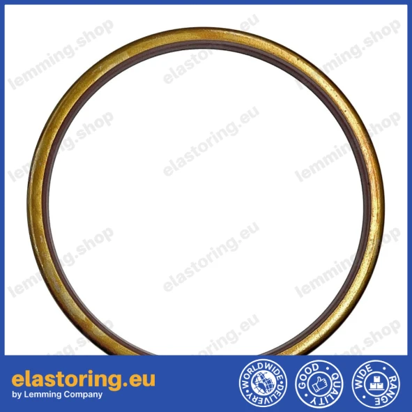 Oil seal Bosch Rexroth 55,55x85,65x6 R921177180