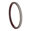 Oil seal Bosch Rexroth 55,55x85,65x6 R921177180