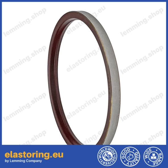 Oil seal Bosch Rexroth 55,55x85,65x6 R921177180