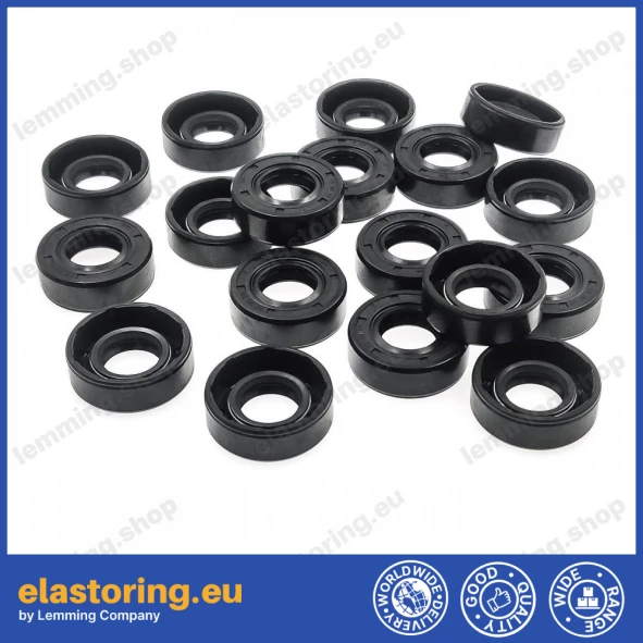 Oil seal WDR-AS 15x30x10 NBR